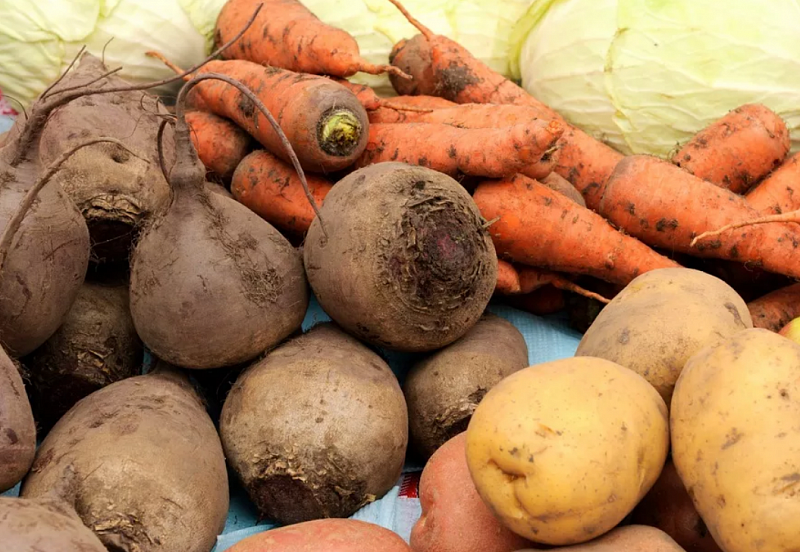 Бурятстат: Овощи в Бурятии стали дешевле