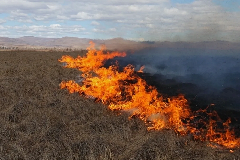 В Монголии огнем уничтожено более 70 тыс. га леса и пастбищ