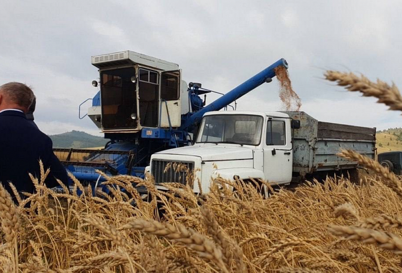 Господдержка производителей зерна в Бурятии увеличена в 2,5 раза