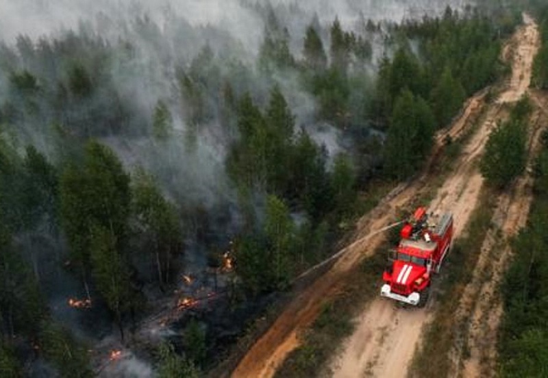 На севере Бурятии лесной пожар охватил 950 га
