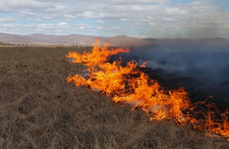 В Монголии огнем уничтожено 38430 га земли